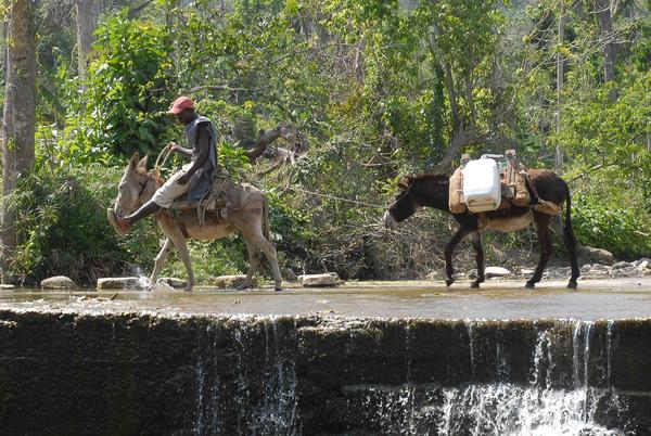 Aguatero de Matayegua 01