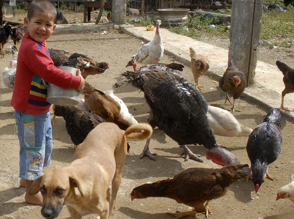 Cuba vida cotidiana 06 Cuba vida cotidiana 06