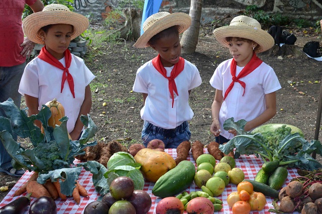 Integrantes del Movimiento de Pioneros Exploradores. Integrantes del Movimiento de Pioneros Exploradores.