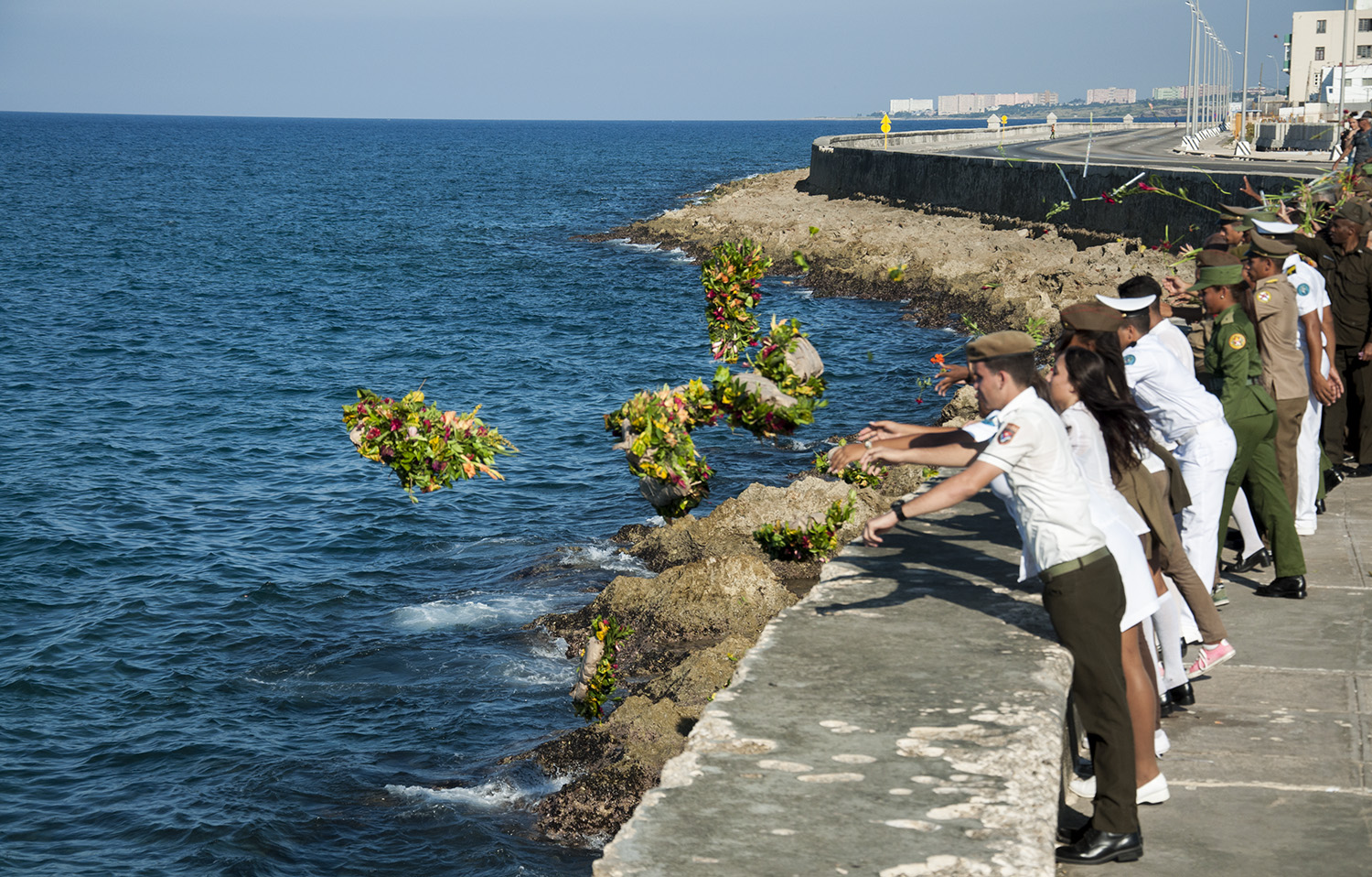 Una flor para Camilo Una flor para Camilo