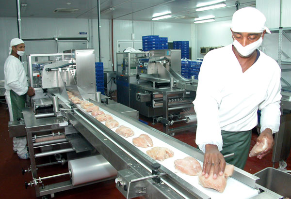 Industria Manufacturera