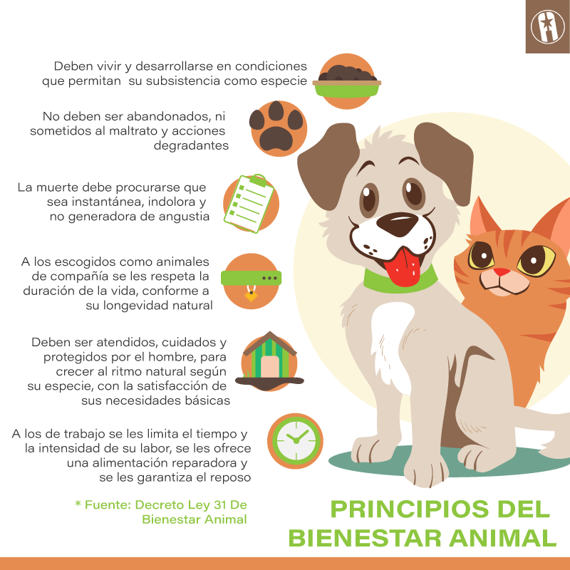 Bienstar Animal Principios Bienstar Animal Principios
