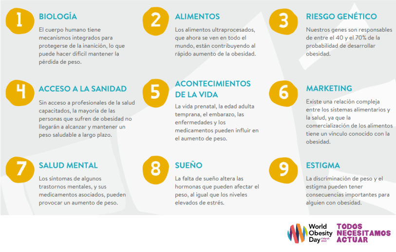 Causas de la obesidad Causas de la obesidad