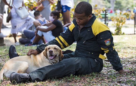 Perros rescatistas-Hotel Saratoga