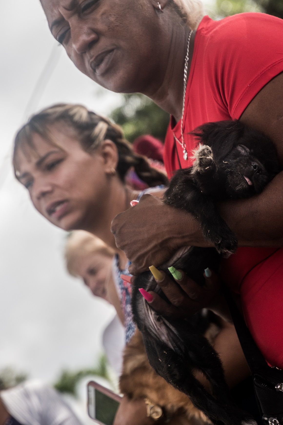 Desde Santiago de las Vegas hasta la iglesia de El Rincón Desde Santiago de las Vegas hasta la iglesia de El Rincón