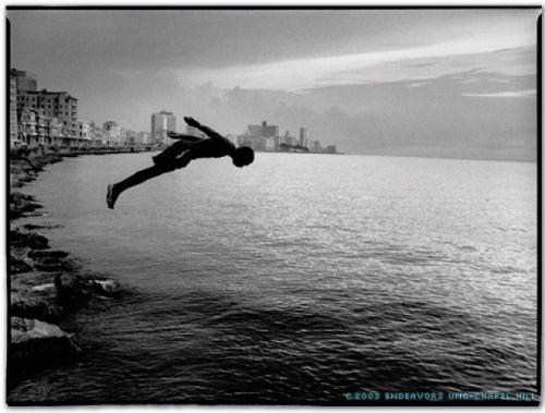 Diving off the Malecón de E. Wright Ledbetteer Diving off the Malecón de E. Wright Ledbetteer