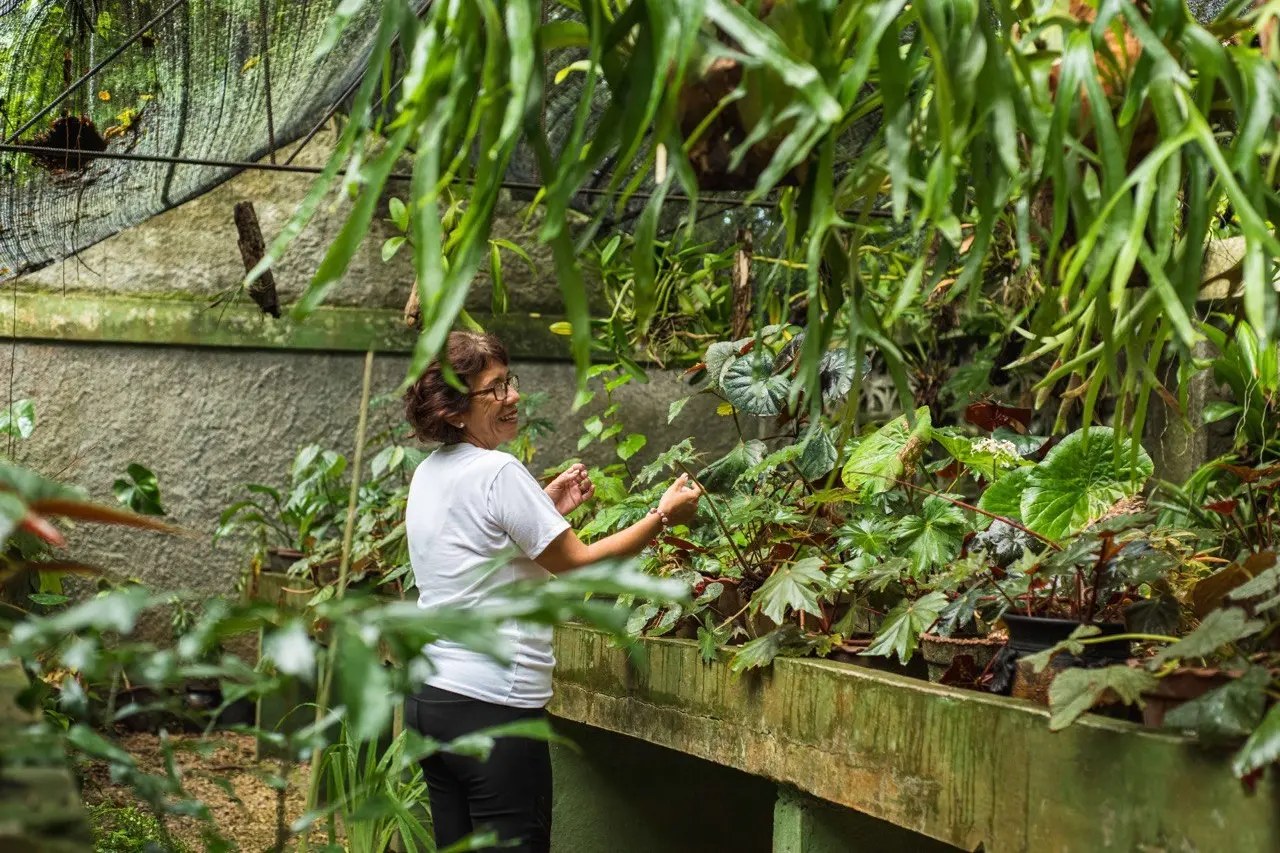 JARDÍN BOTÁNICO CUPAYNICÚ 