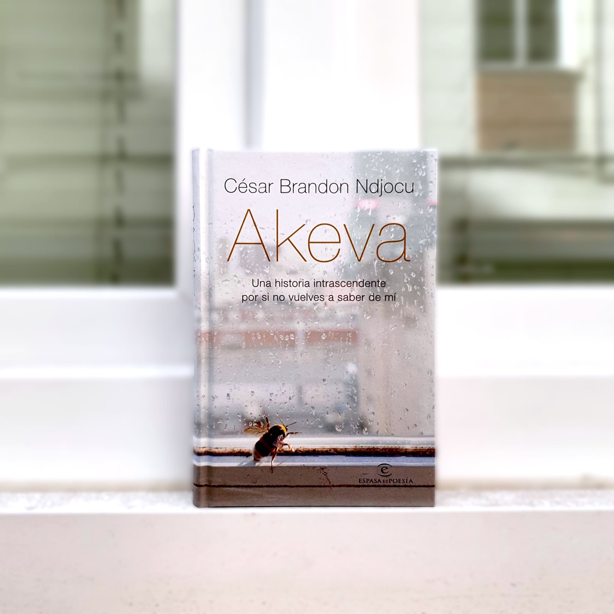 Portada del libro AKEVA, de César Brandon Portada del libro AKEVA, de César Brandon