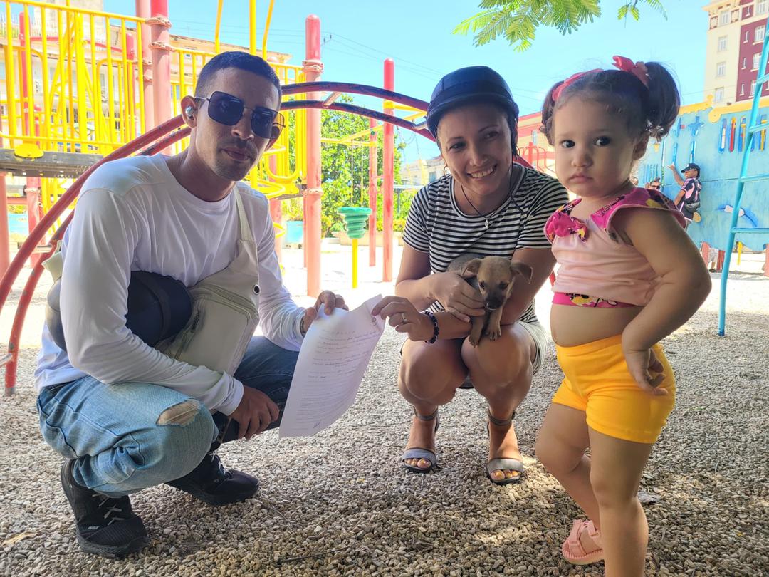 Bienestar animal Bienestar animal