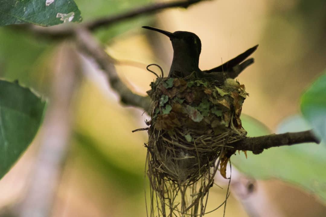 Jardín Botánico Nacional