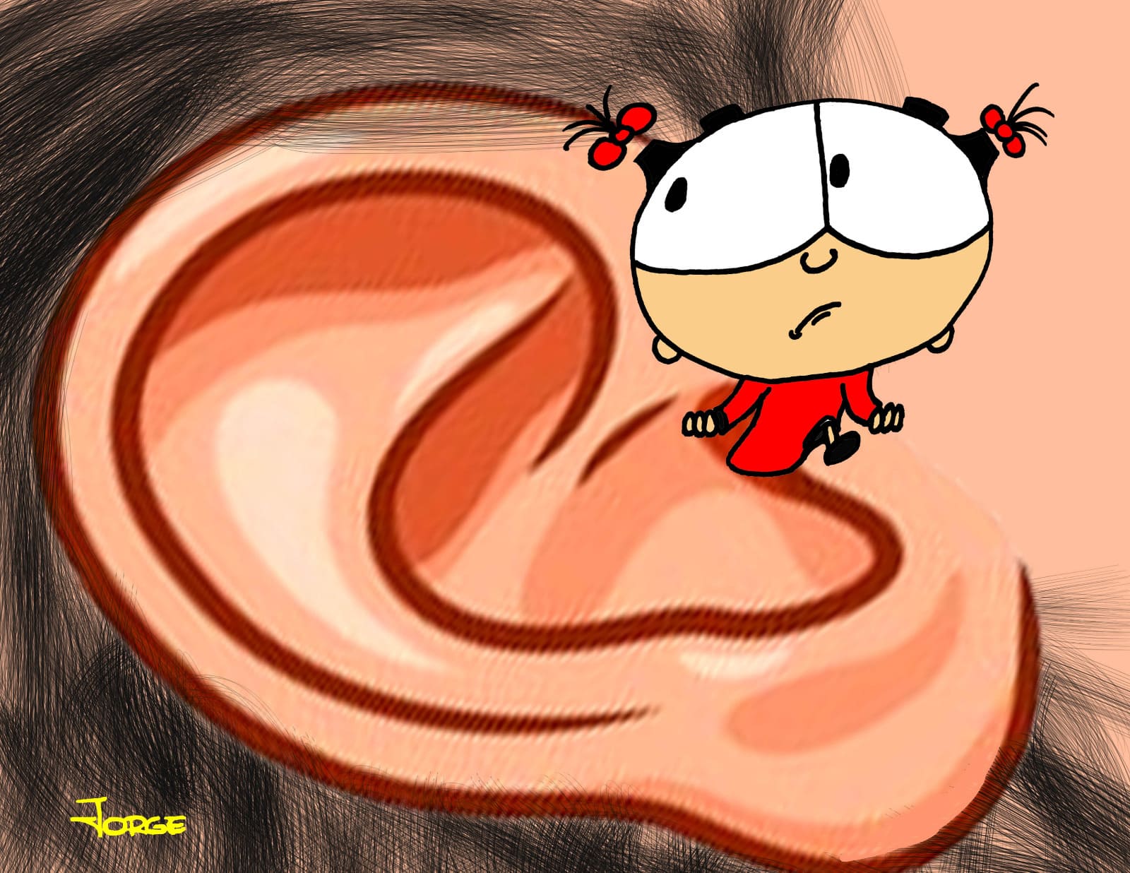 ¿Y qué pasó con las fernandas? ¿Y qué pasó con las fernandas?