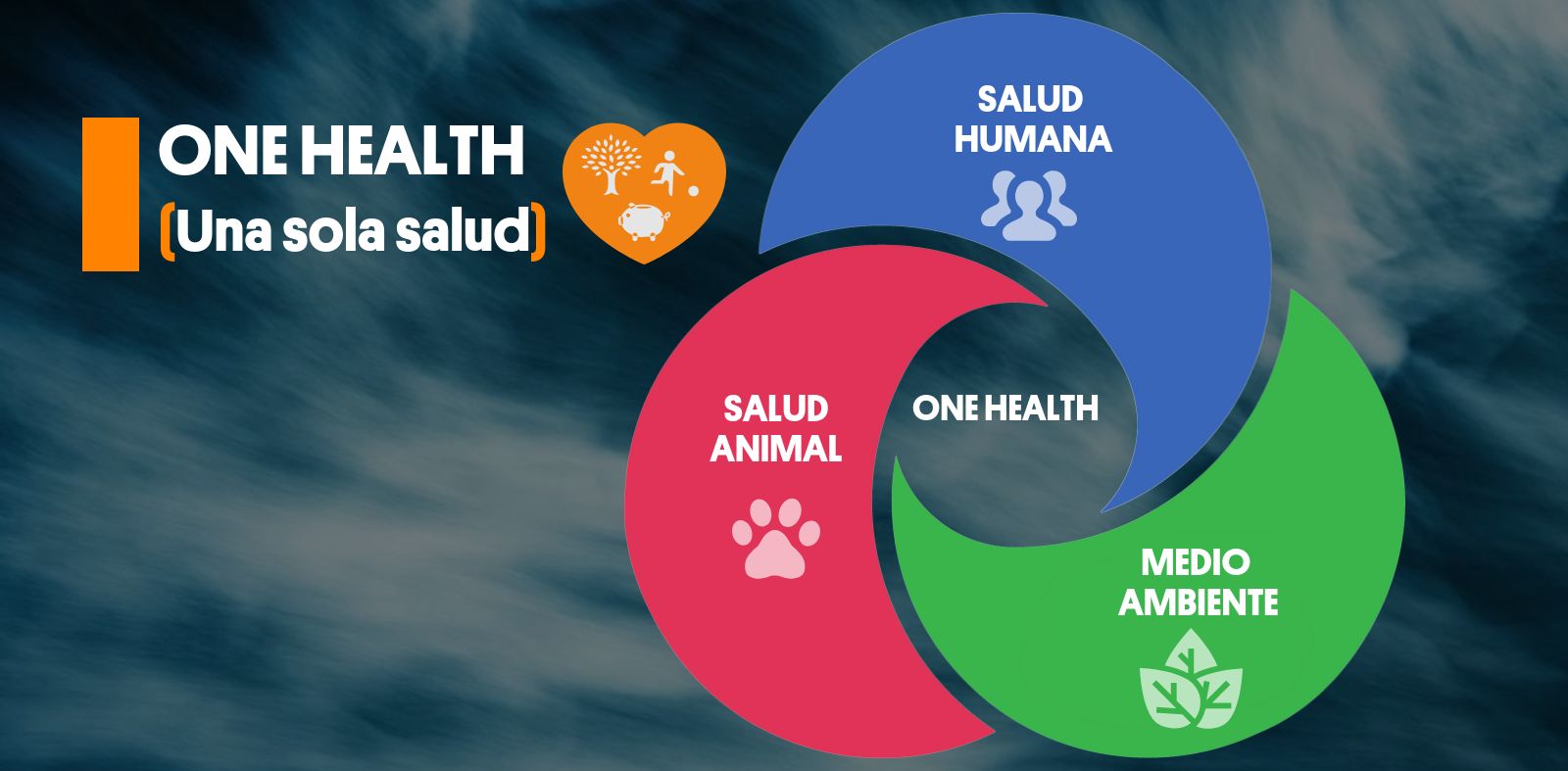 One Health (Una sola salud) One Health (Una sola salud)