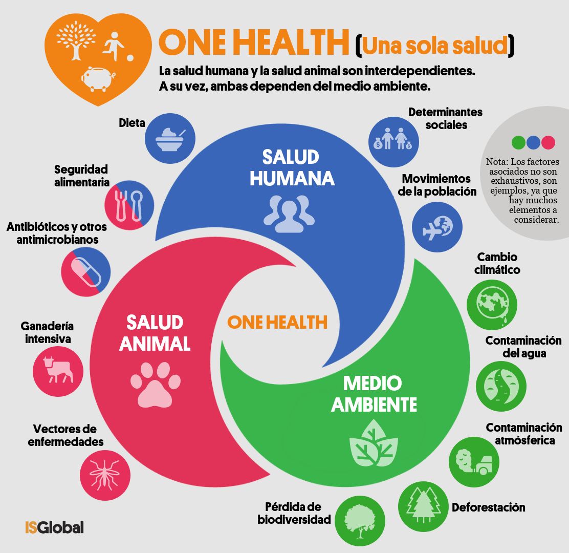 One Health (Una sola salud) One Health (Una sola salud)