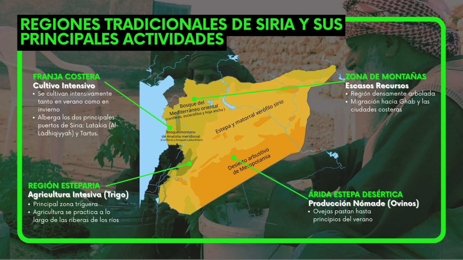 siria: Una tierra fértil arrasada por el conflicto