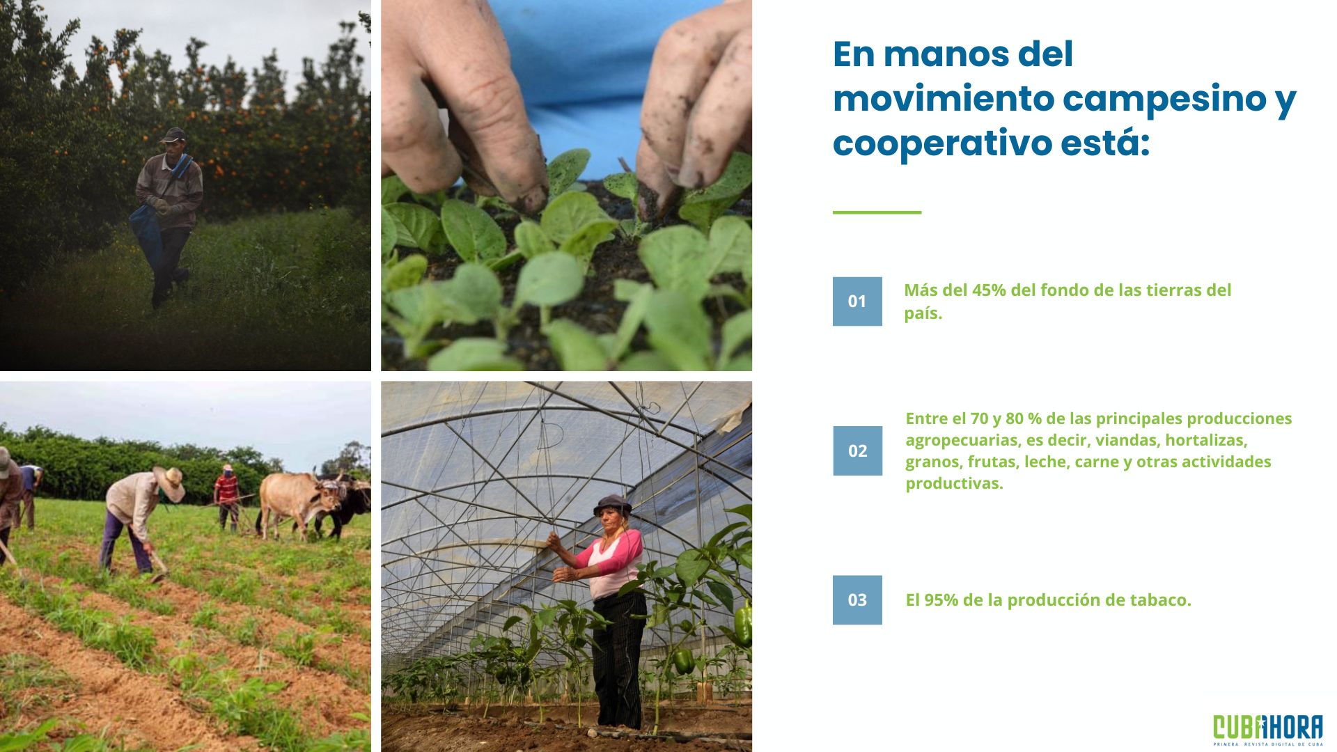 Datos sobre movimiento campesino y cooperativo en 2025