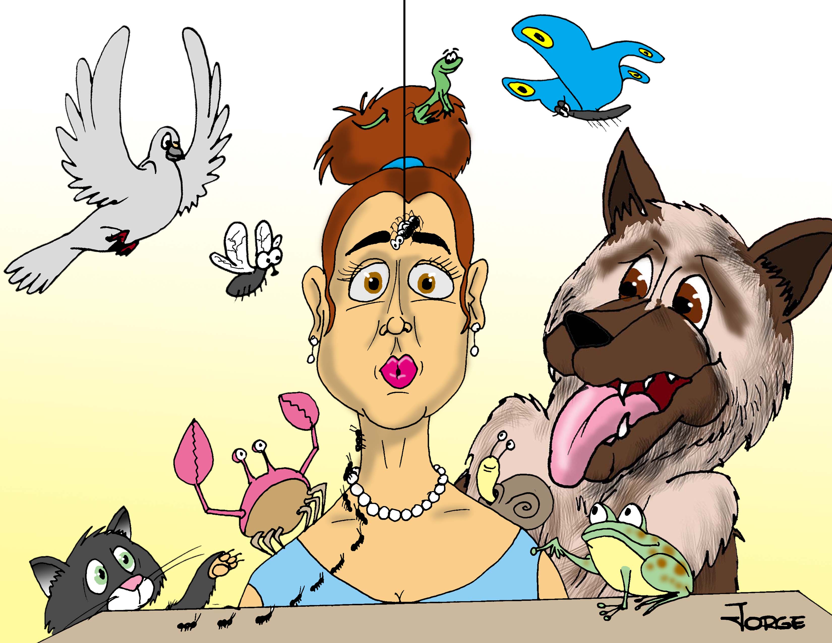 Minijungla doméstica Minijungla doméstica