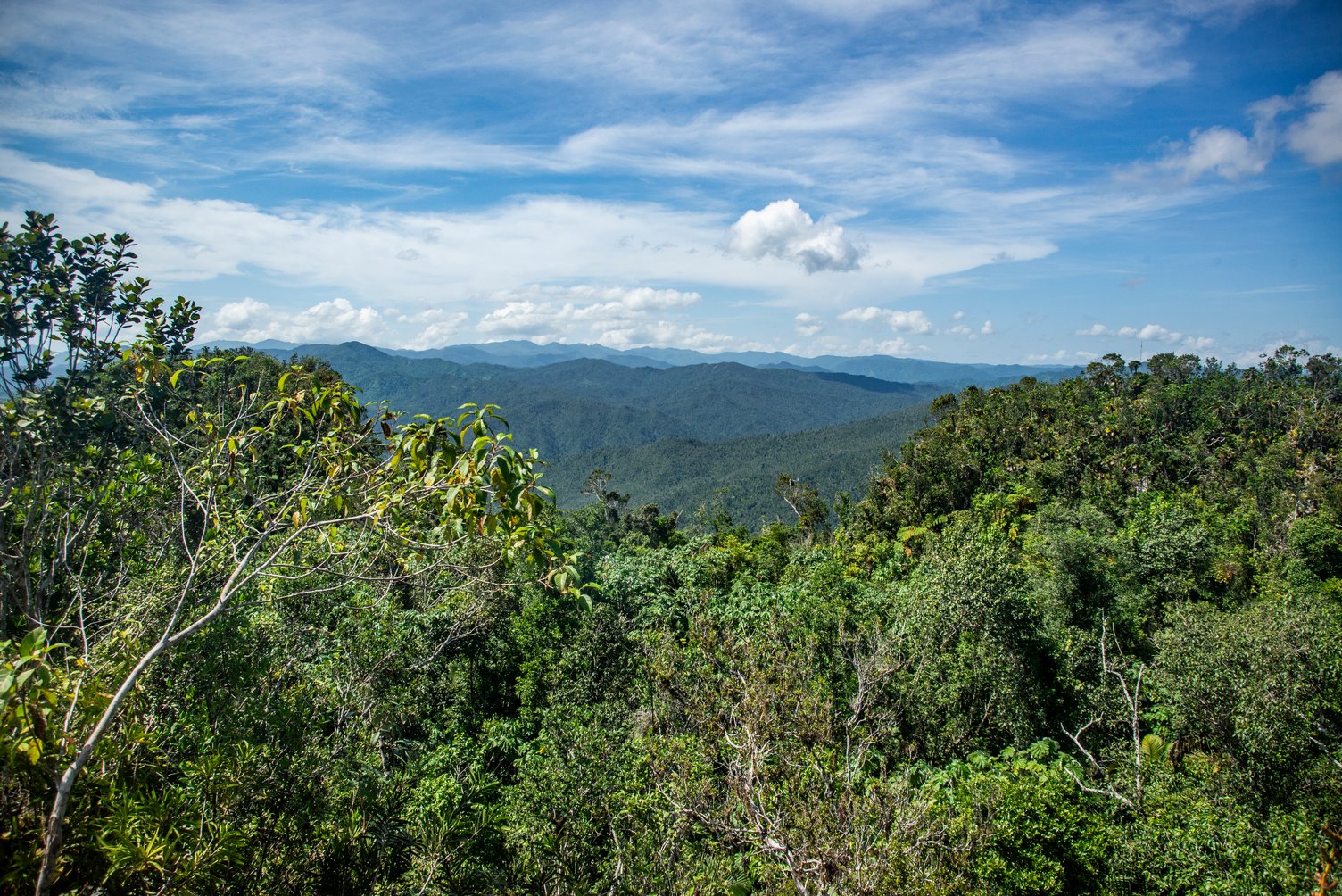 Vista al occidente desde la cima del Yunque