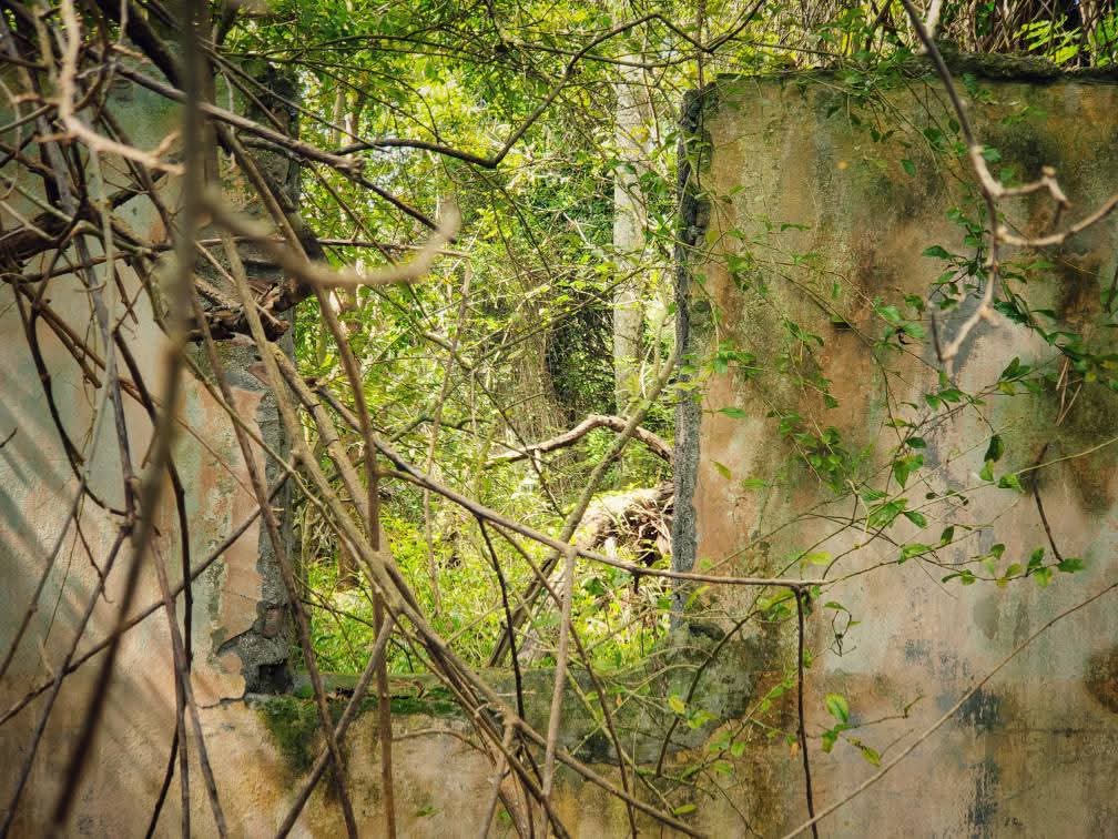 La teoría de la Tierra hueca