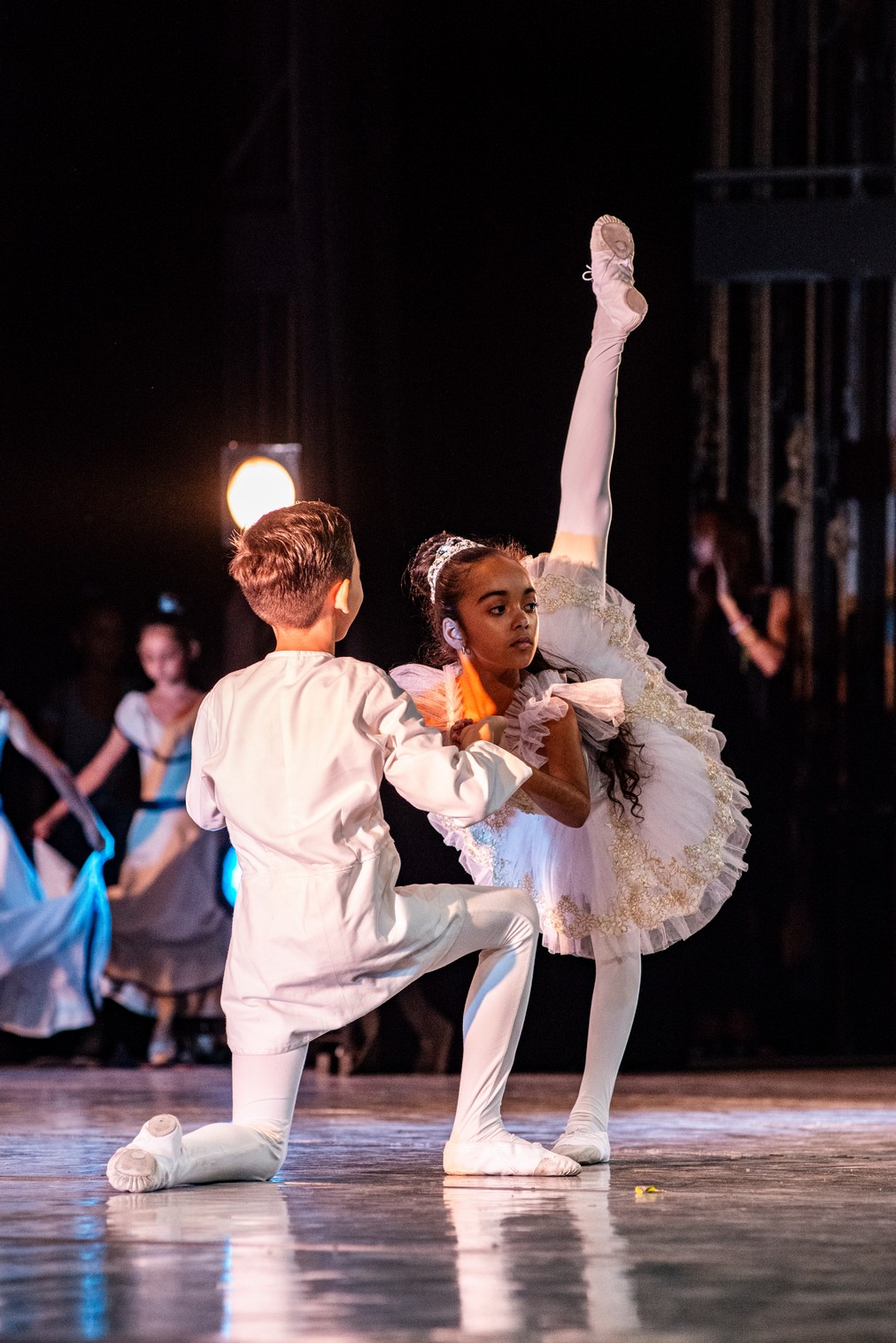 Escuela Nacional de Ballet Fernando Alonso