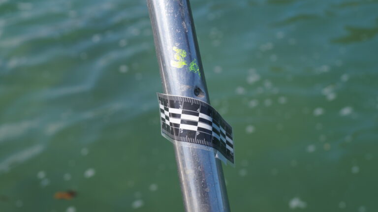 Autoridades cubanas exponen detalles sobre el ataque armado en Villa Clara 